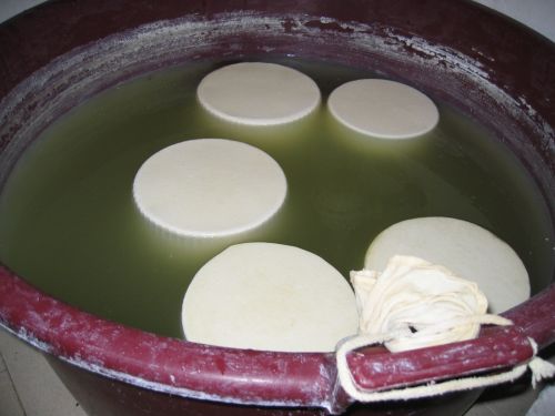 scuola di formaggio-22.JPG